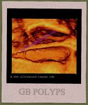 GB-polyps-3D